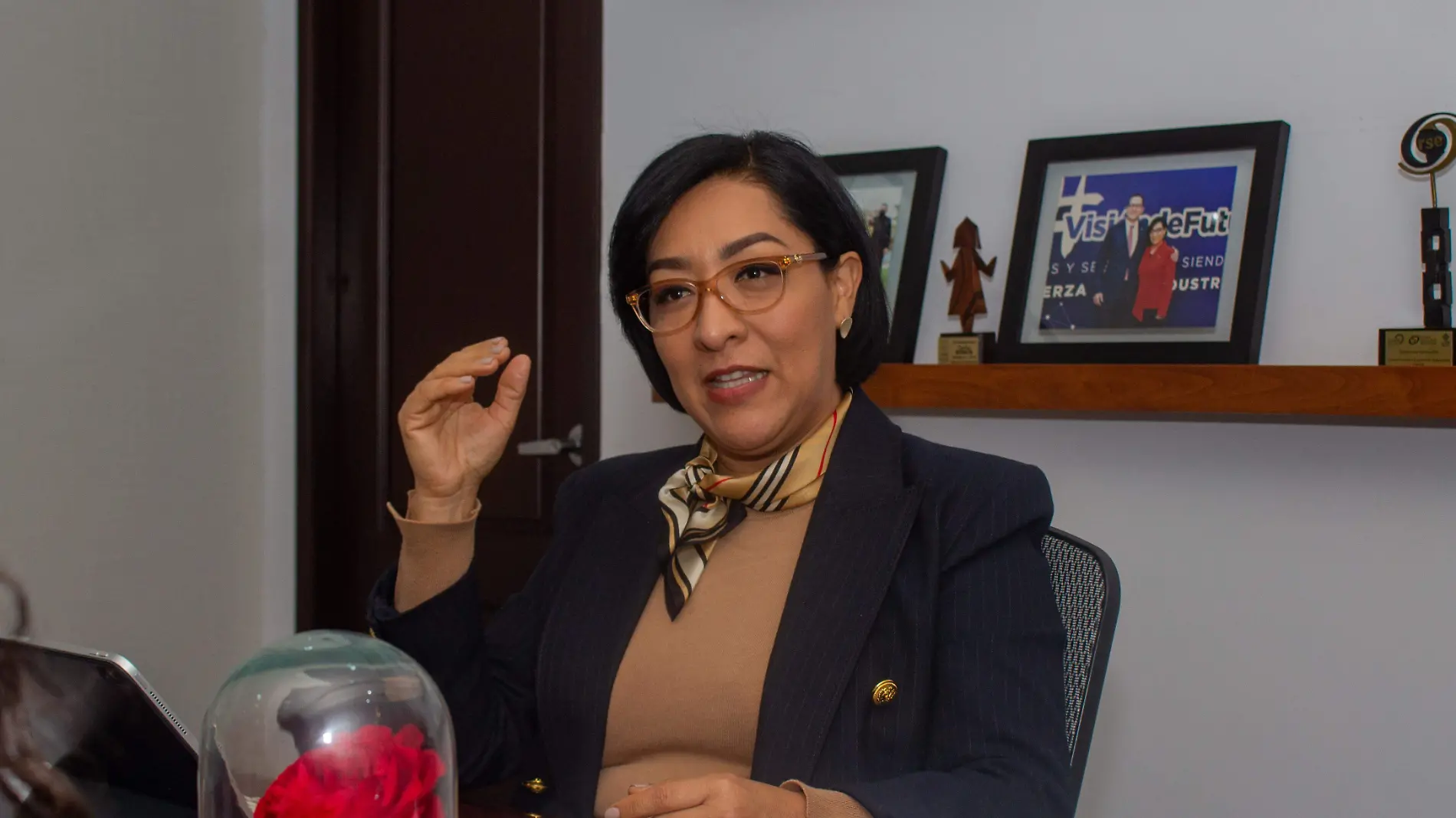 Entrevista Silvia Álvarez Canacintra